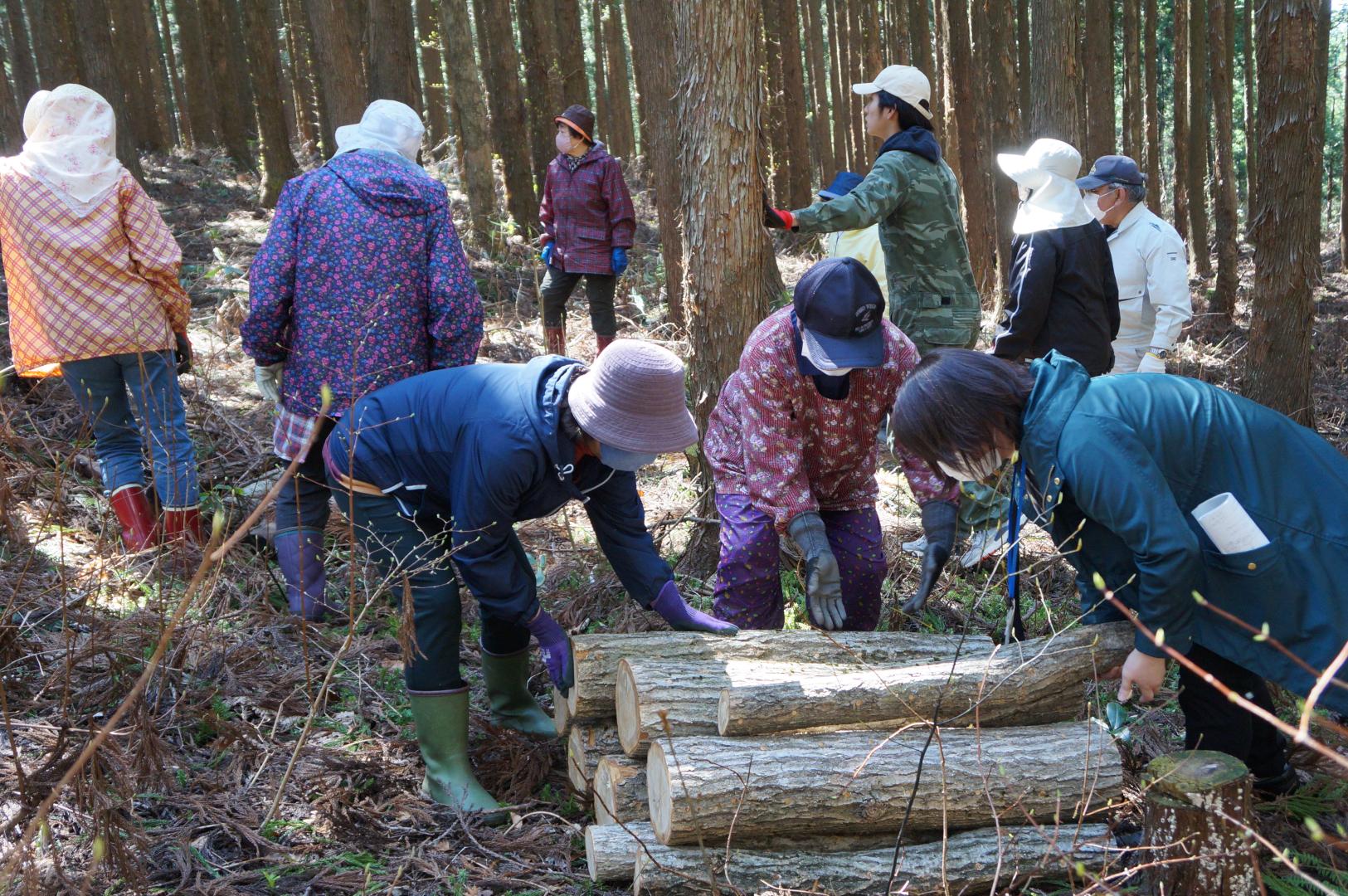 原木きのこに関する作業風景